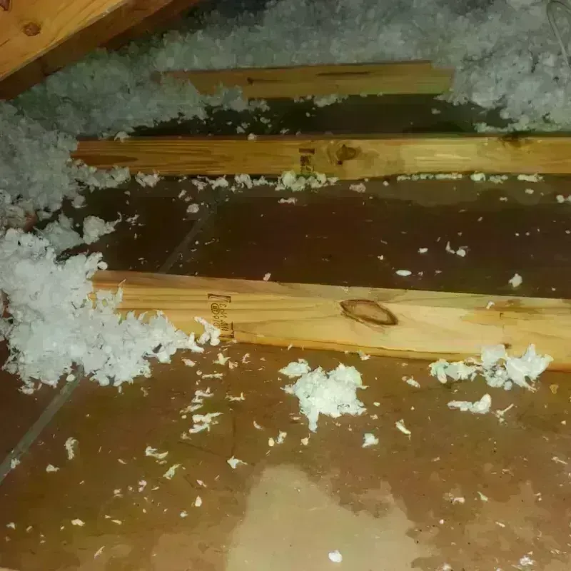 Attic Water Damage in Newfield, ME